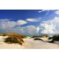thumbnail image 2 of Hausenflock, Alan 18x13 Black Ornate Wood Framed with Double Matting Museum Art Print Titled - Summer Dunes II, 2 of 4