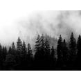 thumbnail image 2 of Allen, Kimberly 18x15 Gold Ornate Wood Framed with Double Matting Museum Art Print Titled - Foggy Morning, 2 of 4