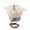 B, variant on 3/6V Slow Speed Small 300 Gear Motor Reduction Motor Plastic Gearboxes for Stage Light/Toy Car Boats Model Enduring