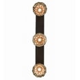 thumbnail image 4 of Meyda Tiffany 175529 Ilona 3 Light 9" Wide Multi Light Pendant - Brown, 4 of 7