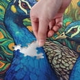 thumbnail image 3 of Peacocks Displaying Feathers Jigsaw Puzzle 500 Pieces, Zigsaw with Storage Bag and Reference Picture Easy to Solve Family Game Creative Gift for Friends Parents Grandparents, 3 of 6