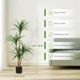 thumbnail image 3 of 4 Ft Artificial Dracaena Tree, Realistic Fake Dracaena Plant, Tall Dracaena Houseplant for Indoor Décor, Adjustable Lifelike Faux Tree, Ideal for Photo Backdrops, Nursery, Living Room, Office, 3 of 6