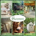thumbnail image 5 of Puremint Roach Repellent,16 fl oz, 5 of 6