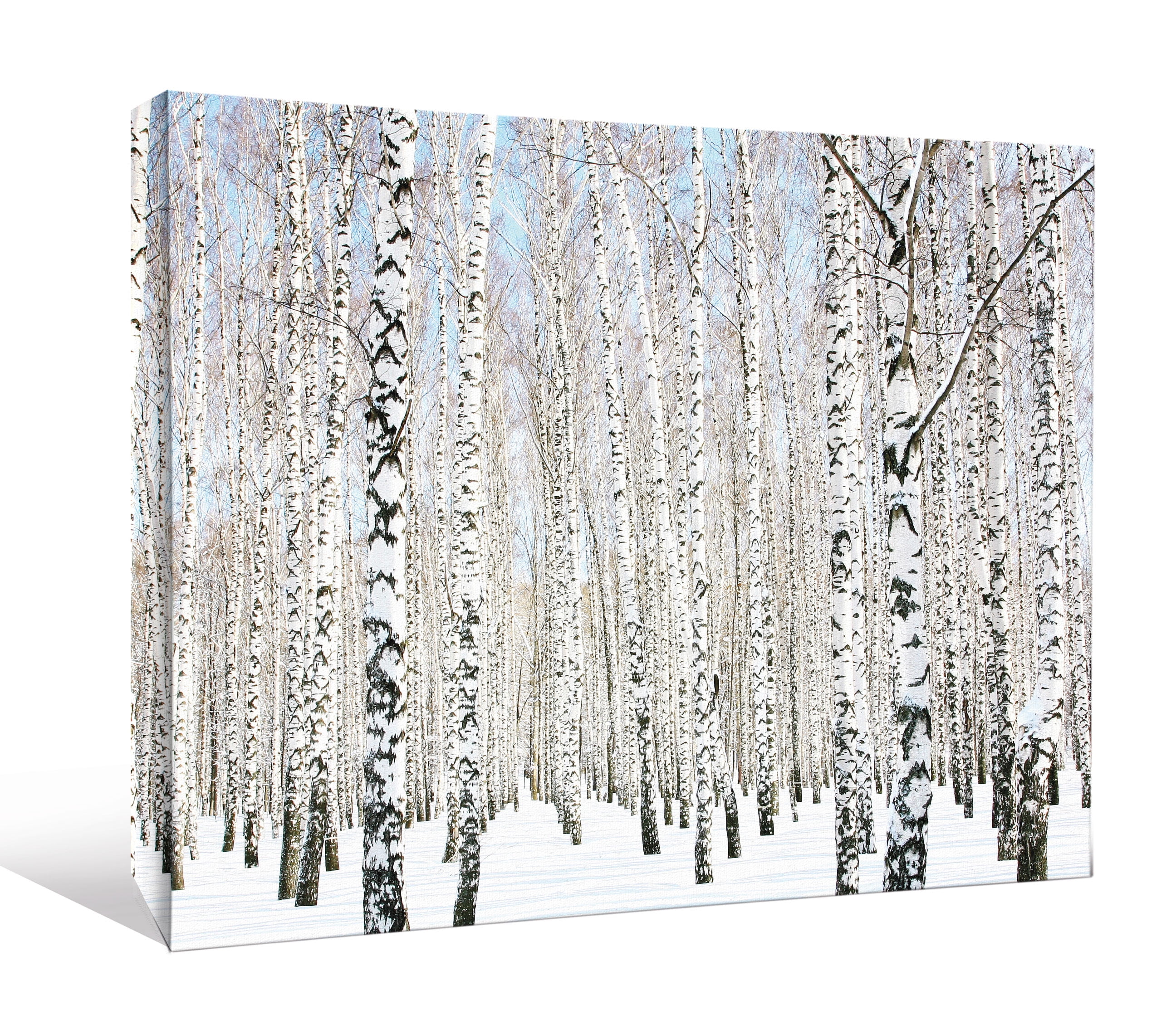 Gallery Wrap Heavyweight Canvas Art Wall Decor Lines Of Birch Trees In Winter Snow At 1 5 Feet High By 2 Feet Wide Cnv2341 Walmart Canada