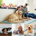 thumbnail image 2 of Tolobeve Dog Training Pads, XXL, 30 in x 36 in, 60 Count Disposable Dog Puppy Pee Pads, 2 of 10