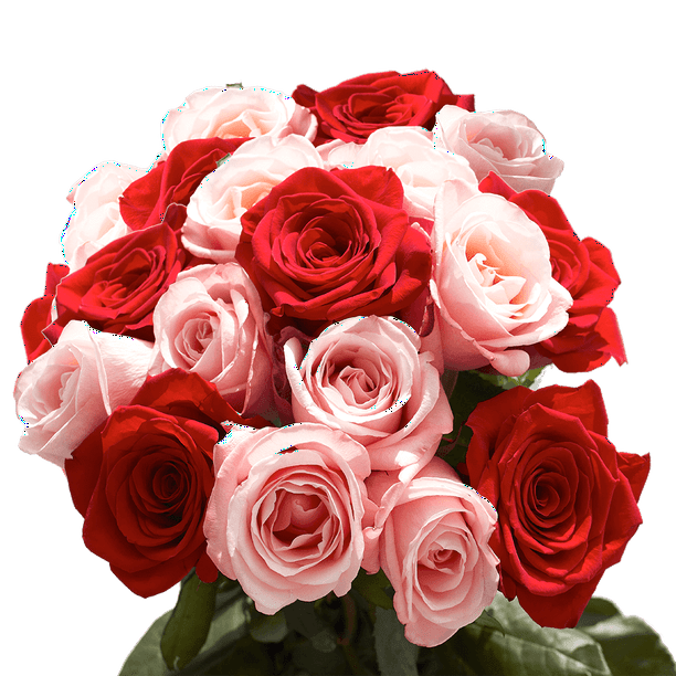 50 Stems of Roses 25 Red and 25 Pink Beautiful Fresh Cut Flowers