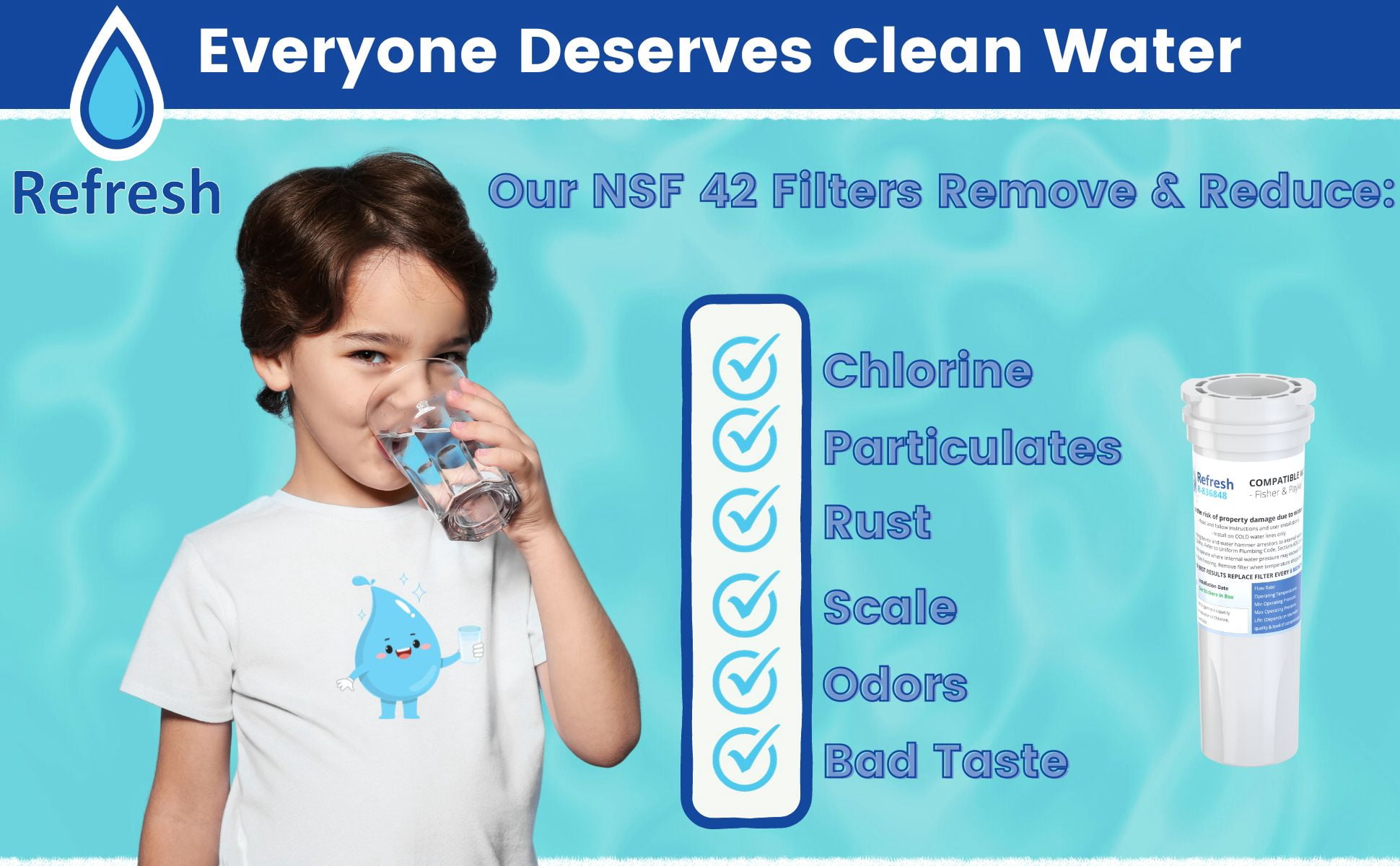 Refresh NS-53 Premium Plus R-0003 Replacement for Samsung Aqua-Pure Plus DA29-00003G Refrigerator Water Filter, 2-Pack