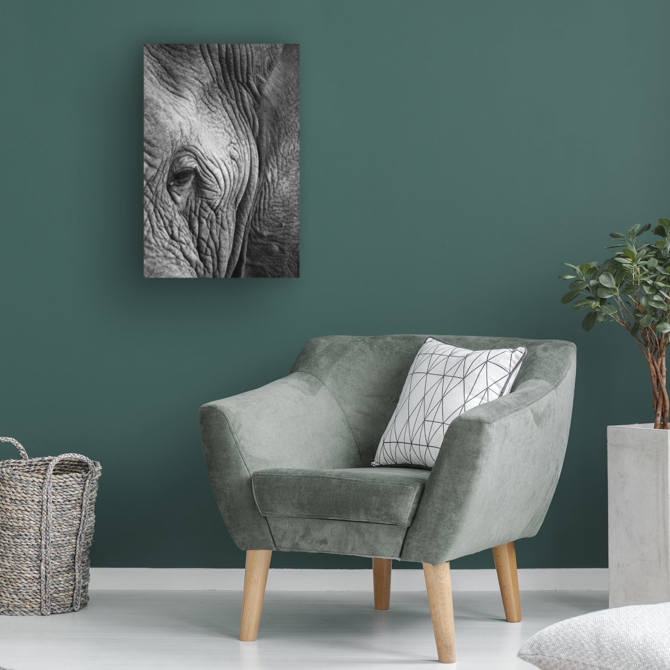 Trademark Fine Art Shot by Clint Elephant Study Canvas Wall Art