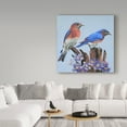 thumbnail image 3 of Trademark Fine Art 'Eastern Bluebird Duo' Canvas Art by Carol J Rupp, 3 of 3