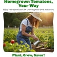 thumbnail image 6 of Epic Gardening Tomato Lovers Seed Bundle, 5 Juicy Varieties, Includes Brandywine, Chadwick Cherry & Tropical Sunset, Grow Non-GMO Tomatoes for Meals, 6 of 6