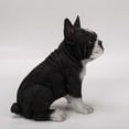 thumbnail image 2 of Hi-Line Gift Ltd Sitting French Bulldog Puppy Statue, 2 of 5