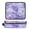 Purple Peony Flower, variant on Hair Tool Organizer Bag with Heat Resistant Mat Removable Travel Storage Case for Hot Air Brushes Curling Irons Pale Pink Flowers