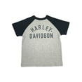 thumbnail image 2 of Harley-Davidson Little Boys' Colorblocked Short Sleeve Raglan Tee - Gray (4/5), Harley Davidson, 2 of 2
