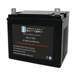 12v lawn mower battery walmart discount
