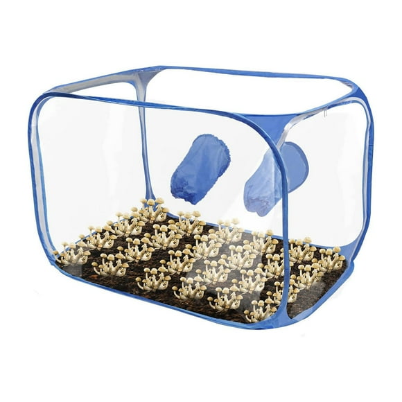 Mushroom Grow Container, Durable PVC Mushroom Grow Tent Portable for Research