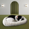 thumbnail image 4 of Peluche para dormir, juguetes de peluche, de simulación, lindo regalo Border collie Zulema Gato durmiendo respirando, 4 of 7