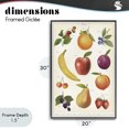 thumbnail image 4 of Stupell Industries Traditional Fruit Collection Studies Black Framed Giclee Art, 20 x 30, by Diane Neukirch, 4 of 8