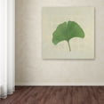 thumbnail image 3 of Trademark Fine Art 'Forest Leaves IV no Lines' Canvas Art by Kathrine Lovell, 3 of 3