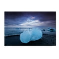 thumbnail image 2 of Trademark Fine Art 'Cold and Blue' Canvas Art by Philippe Sainte-Laudy, 2 of 4