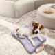 thumbnail image 4 of Cama ortopédica grande para perros con funda extraíble y lavable, colchón de espuma viscoelástica para aliviar el dolor articular y forro impermeable para perros mayores y mascotas con, 4 of 5