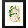 thumbnail image 2 of Jean Jules Linden 12x14 Black Modern Framed Museum Art Print Titled - Catasetum Bungerothi (1885-1906), 2 of 5