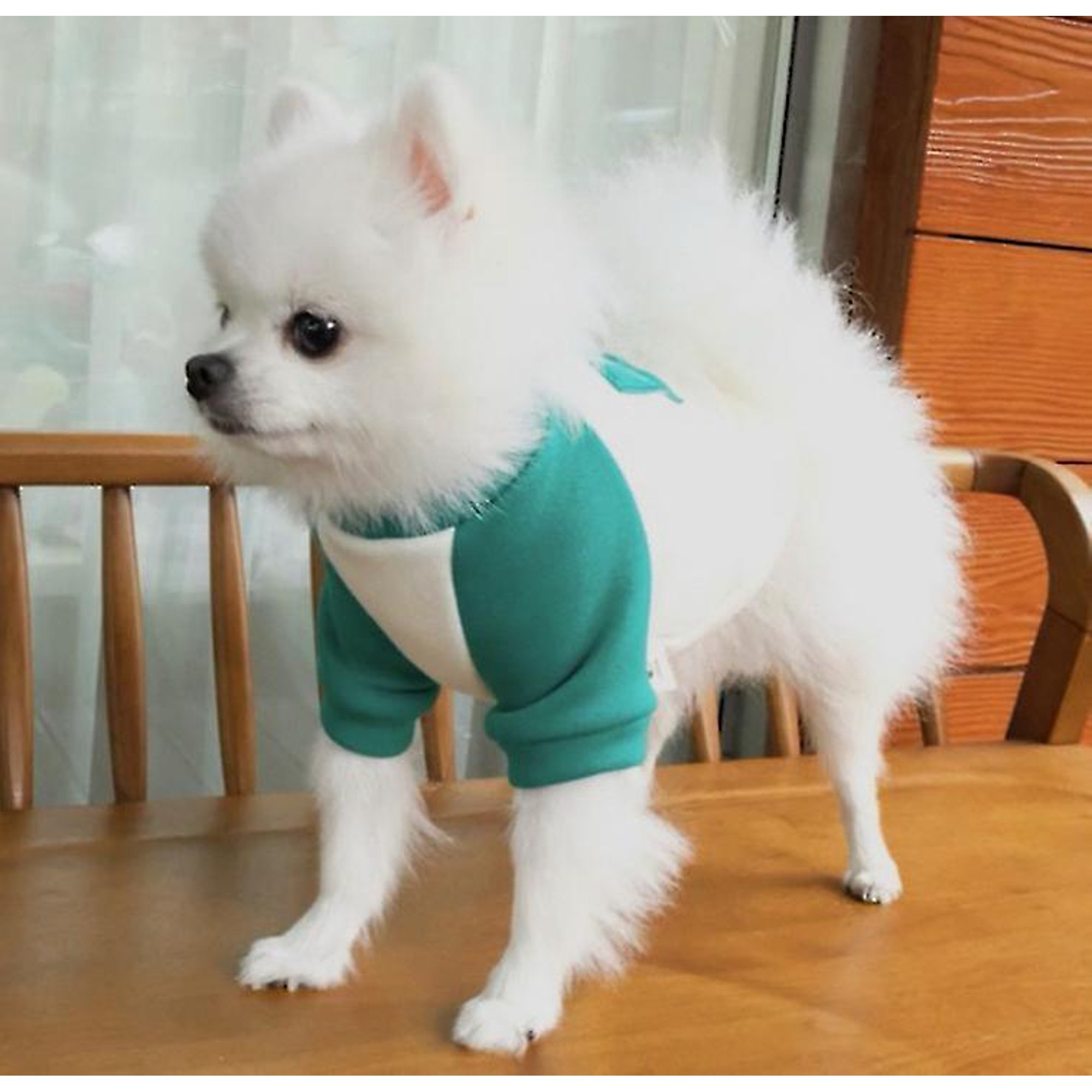 Pet Squid Game Cat Dog Hoodie Warm Costume Clothes | Walmart Canada