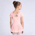 thumbnail image 5 of Girls Dance Leotard with Skirt Short Sleeve V-Neck Ballet Top Gymnastics Outfit for Kids Kids Light Pink Polyester,Size 14-15 T, 5 of 7