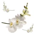 thumbnail image 1 of Stickers Muraux pour Orchidées Blanches, 1 of 1