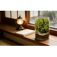 thumbnail image 6 of DIY Large Moss Terrarium Kit, High Borosilicate Glass Ecosystem Bottle for Indoor Plants, Moss Micro Landscape with Detailed Material Pack, Tools Included, 5.9 x 3.9 in Stress Calm Present, 6 of 8