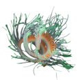 thumbnail image 2 of Greeniant 50CM anémona artificial falso coral planta ornamento acuario pecera decoración decoración del acuario verde, 2 of 5