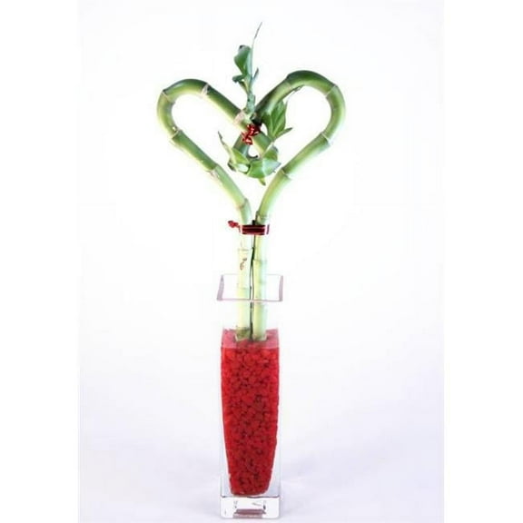 Athenas Garden BA-HS08-CG001-RRSM 10 in. Single Heart Bamboo - Glass Block Bud Vase
