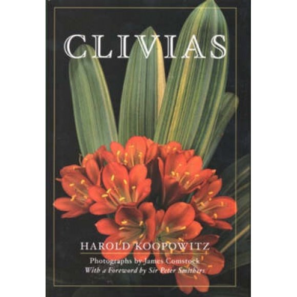 Clivias