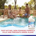HTH Algae Guard for Swimming Pools, Kill and Prevent Algae, 1 Gallon
