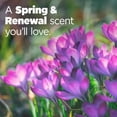 thumbnail image 3 of Liquid Laundry Detergent, Spring and Renewal Scent, 92 fl oz, 65 Loads, 3 of 4