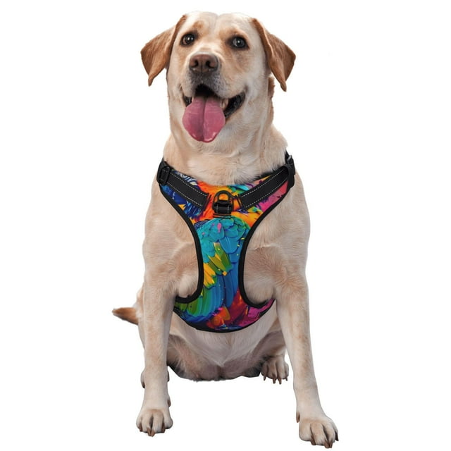 Fotbe Harnais pour Chien Motif Éclaboussures de Perroquet Vibrant, Harnais pour Animaux Anti-Traction avec 2 Clips de Laisse, Gilet pour Chien Rembourré Doux Réglable avec Poignée de Contrôle Facile pour Grands Chiens-Moyen