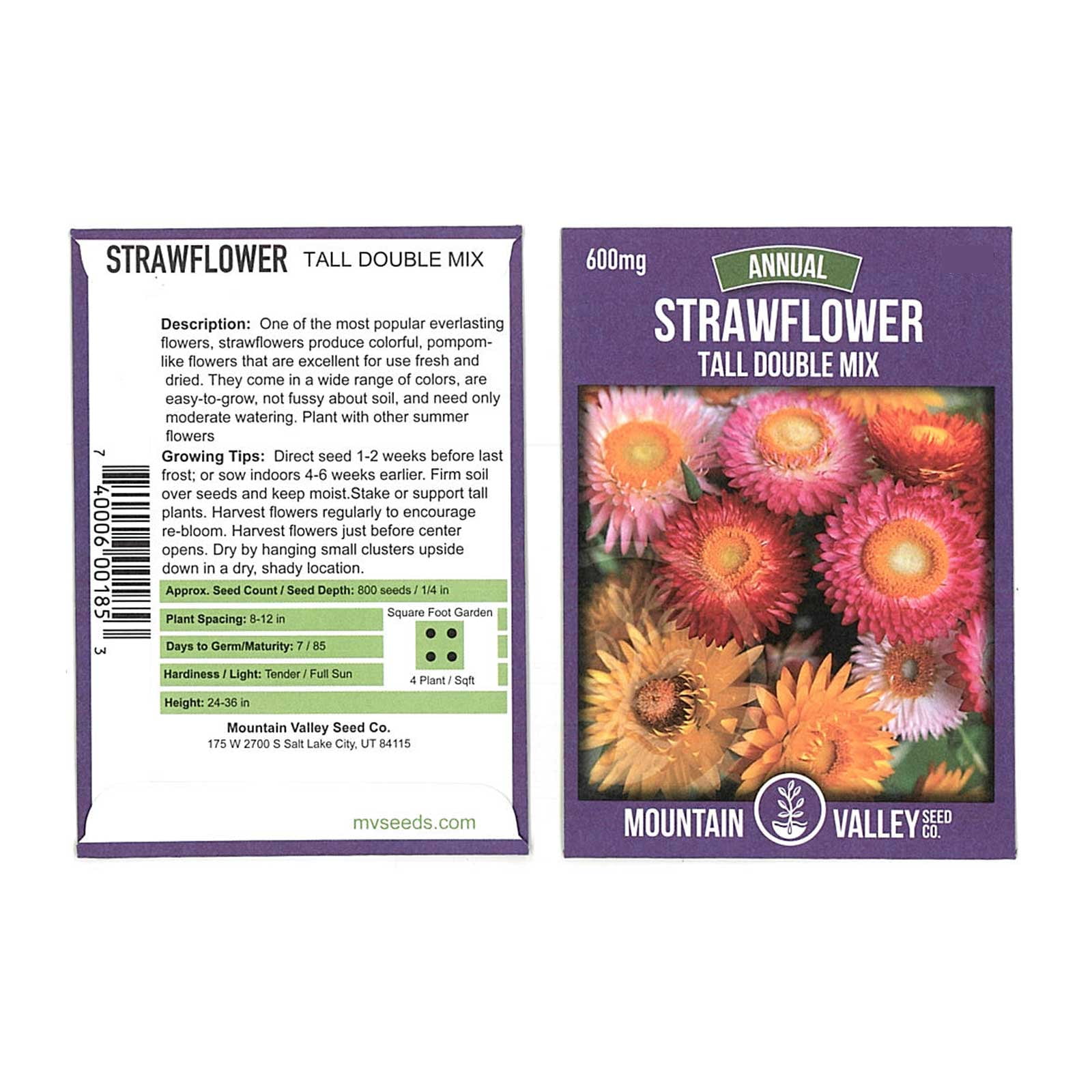 Helichrysum Seeds Bikini Mix 250 Strawflower Seeds
