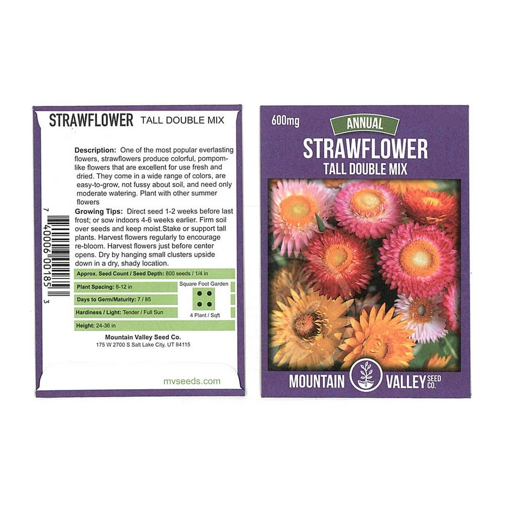 Strawflower Flower Garden Seeds Tall Double Mix 600 mg Packet