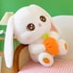 thumbnail image 2 of Conejo de peluche de juguete muñeca de trapo niña linda zanahoria tiro almohada figurita niña muñeca durmiente regalo de cumpleaños, 2 of 4