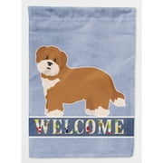 Carolines Treasures CK3782CHF Shorkie 2 Welcome Flag Canvas House Size , Large, multicolor