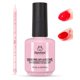 thumbnail image 1 of Esmalte en gel de látex líquido para escarabajos de uñas, 15 ml con barra de uñas, 1 of 8