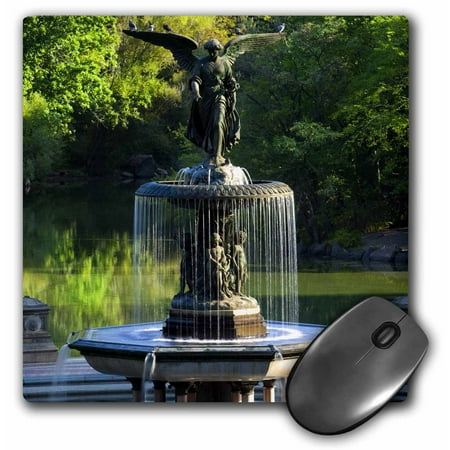 3dRose Fountain, Central Park, New York City, USA - US33 BJN0122 - Brian Jannsen - Mouse Pad, 8 by