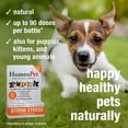 thumbnail image 5 of HomeoPet STORM STRESS Calming Support Drops for Pets, 15 mL, 5 of 7