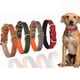 thumbnail image 5 of Collar de cuero para gatos con hebilla ajustable, collar para mascotas pequeñas para gatitos, 5 of 5