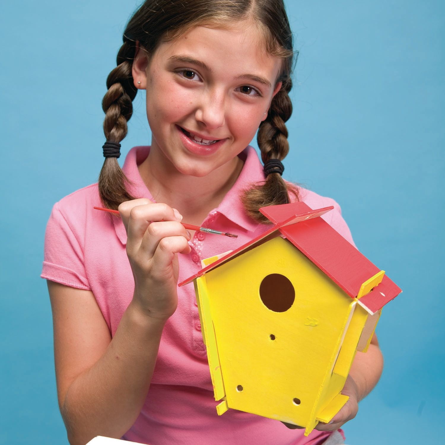 Wooden Birdhouse Craft Kit (Pack of 12)