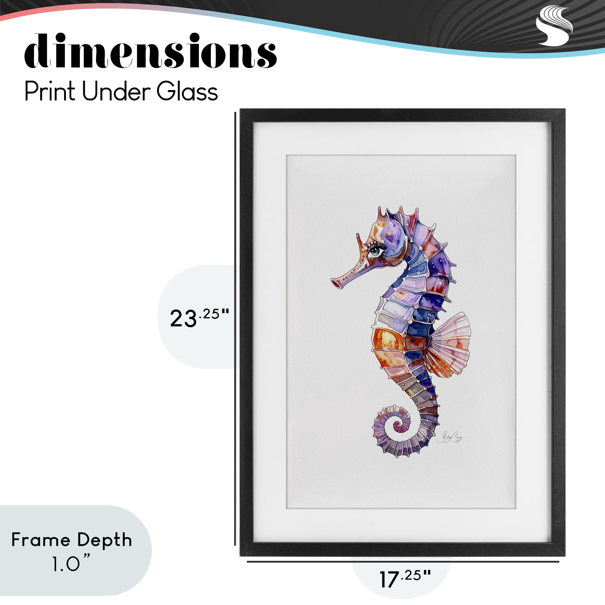 Stupell Industries Sea Whisper Seahorse Black Framed Print Under Glass, design by Shelly Craig