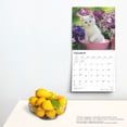 thumbnail image 5 of I Love Kittens 2025 12 X 24 Inch Monthly Square Wall Calendar Plastic-Free (Wall), 5 of 9