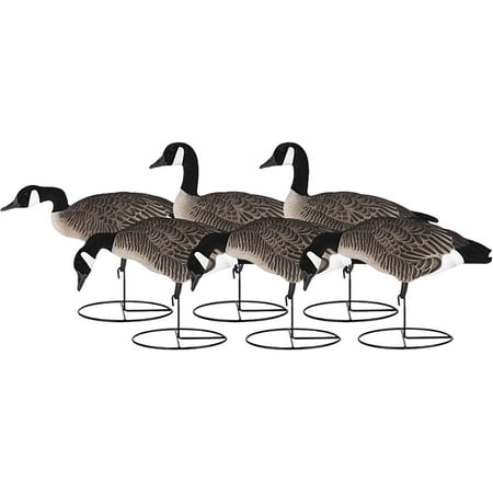 Dakota Decoys X-treme Fully Flocked Lesser Canada Goose Decoys 6PK