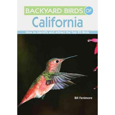 backyard birds of california walmart com backyard birds of california walmart com