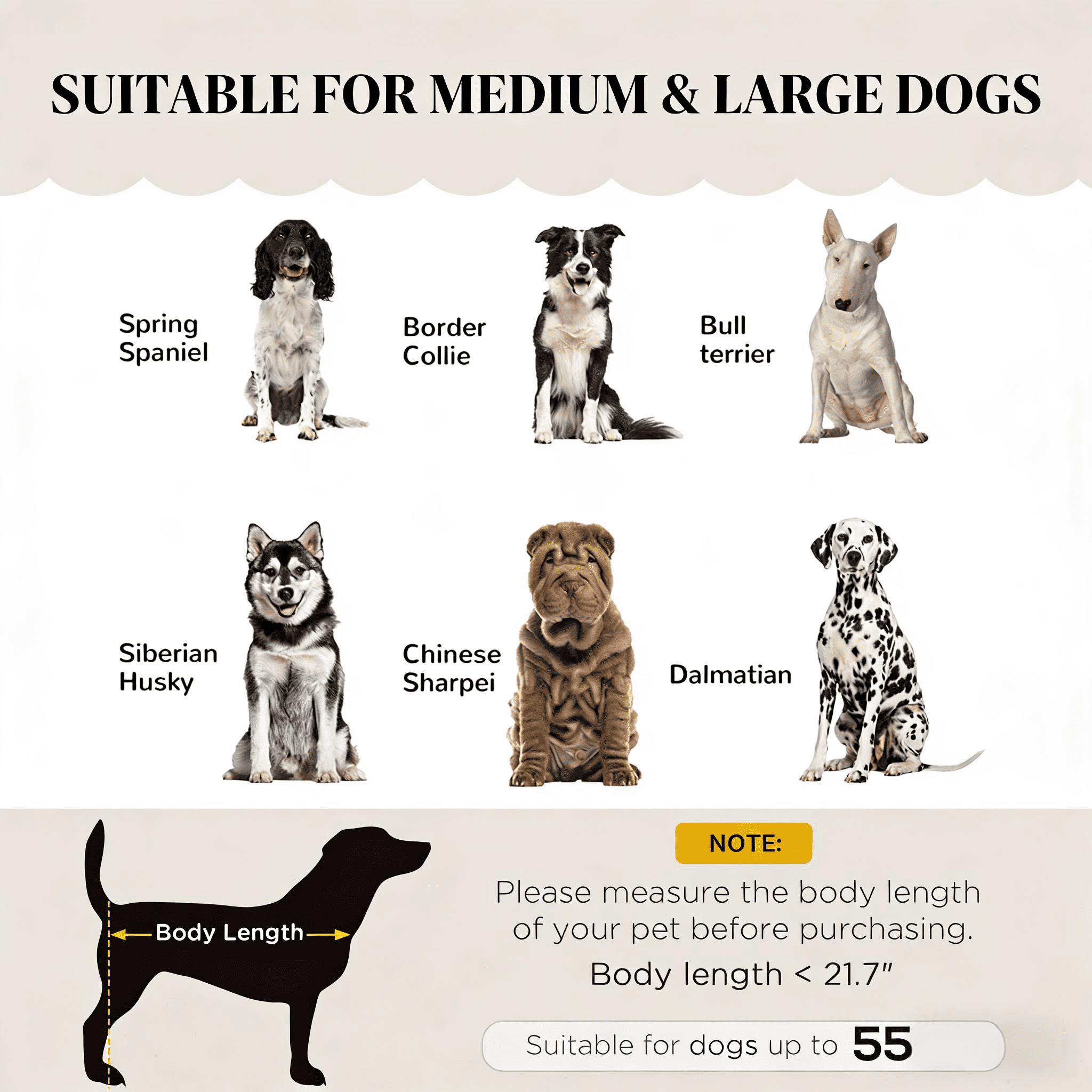 Spacious Pet Bed, Pearl Design Pet Sofa
