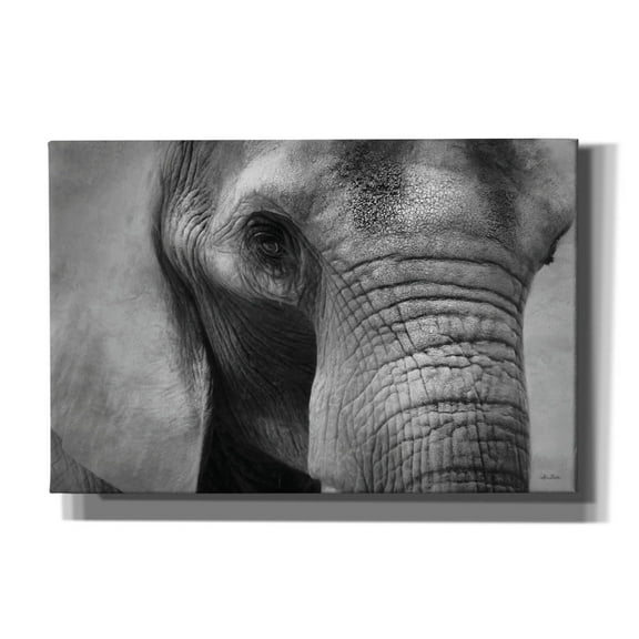 Epic Graffiti 'Elephant' by Lori Deiter, Canvas Wall Art, 18"x12"